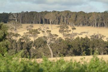Margaret River © Charmaine Grieger